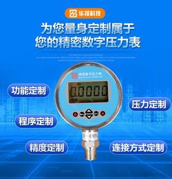 “寧波100兆帕數(shù)字壓力表價格“/