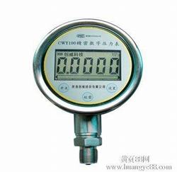 “廈門數顯壓力表如何保養(yǎng)“/